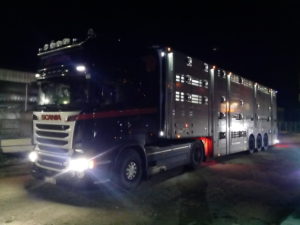 GLP Logistik - Nachttransport